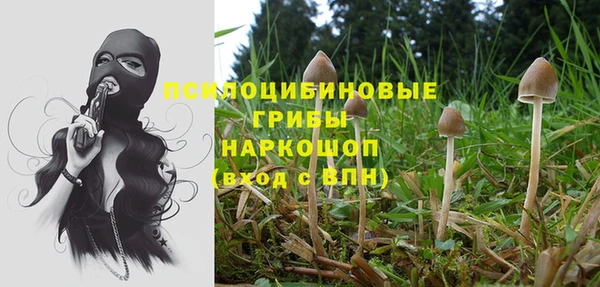 шишки Киреевск