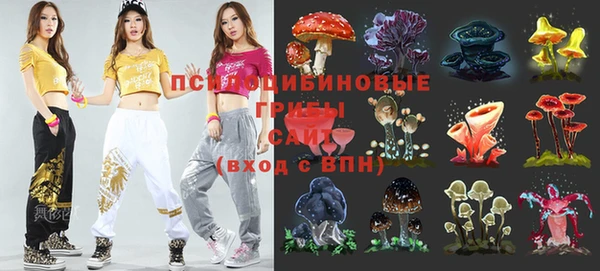 эйфоретик Кинешма